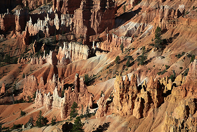 Bryce Canyon : Utah : Landscape Photos : Richard Moore : Photographer
